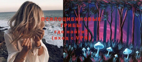 ешки Козловка