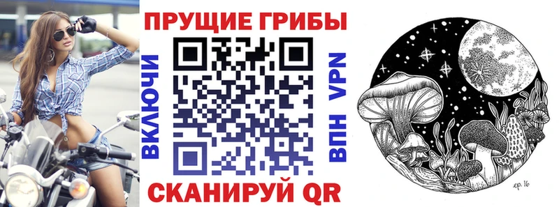 Галлюциногенные грибы мицелий Ростов-на-Дону